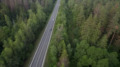 Real view of car driving in forest road towards sunset Video stock 245653584