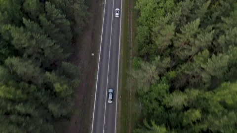 Real view of car driving in forest road towards sunset 库存影片 245653591