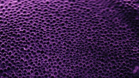 Real violet bubble on black background Stock Footage 94960100