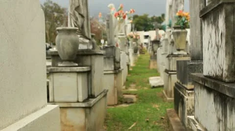 Real - vodoo witch spell in cemetery 4 Stock Footage 22308071