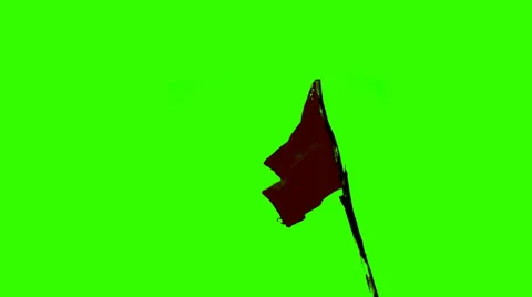 Real Waving Flag Stock Footage 24818600