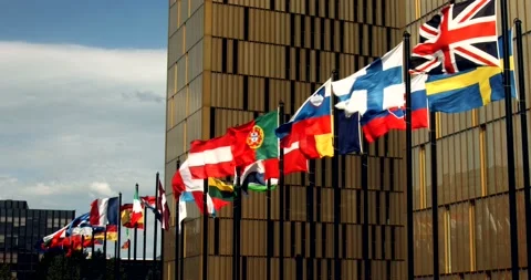 The real waving flags of EU Stock Footage 88982003
