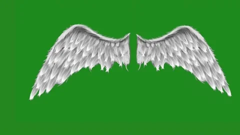 Angel Wings Green Screen Stock Footage Royalty Free Stock Videos Pond5