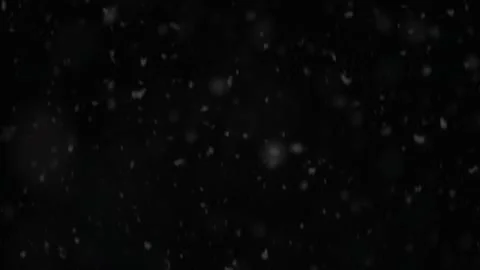 Real winter snowfall Stock Footage 145814091