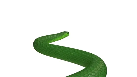 Realistic 3D Animation of  a Crawling Green Mamba With Alpha Channel. Stock Footage 84259275