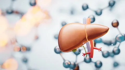 Realistic 3d animation of human liver with vessels and molecules in backgroun Stock Footage 332151968