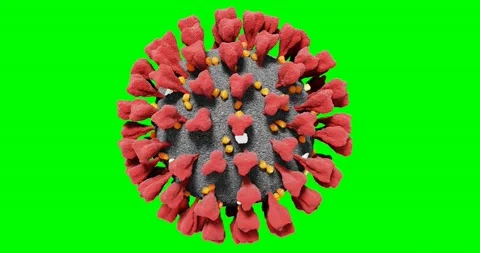 Realistic 3D animation rendering of coronavirus cell on green background Video stock 158811099