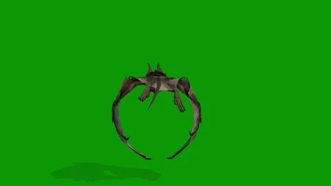 A Realistic 3D Bat Flying Back on Green Screen-Chroma Key Animation 스톡 동영상 310284782