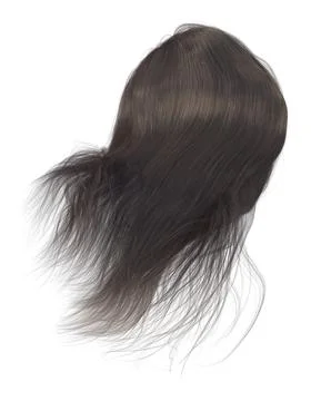 Realistic 3D Dark Hair Render 스톡 일러스트