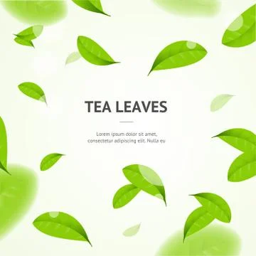 Realistic 3d Detailed Elements Vibrant Green Tea Leaves Concept Banner Card Stock Illustration