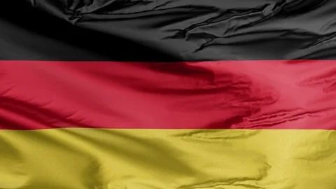 Realistic 3D Flag of Germany Stock Footage 113692028
