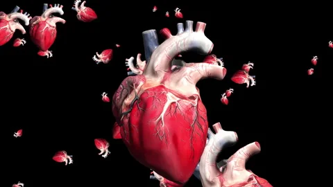Realistic 3d heart background isolated on black Video stock 265088180
