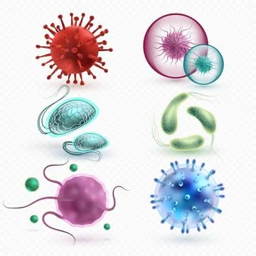 Realistic 3d microscopic viruses and bacteria isolated vector set イラスト素材