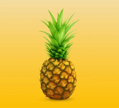 Realistic 3D Pineapple Single Fruit Isolated Stock Illustration