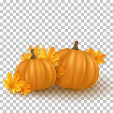 Realistic 3d pumpkins with maple leaves isolated on transparent background. F Stock Illustration