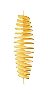 Realistic 3d raw and fried potato tornado snack Stock Illustration