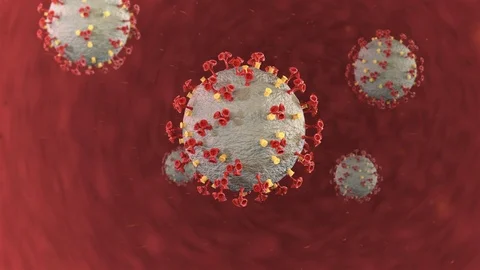 Realistic 3D Render  corona virus  covid19 inside blood Stock Footage 126330135