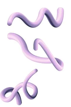 Realistic 3D rendering of abstract shapes inspired by organic forms in nature Stock Illustration