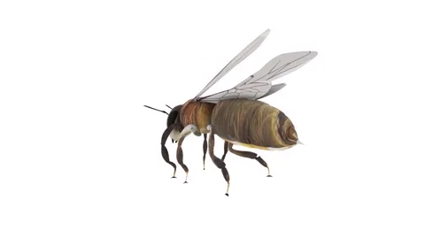 Realistic 3D rendering of a bee exploring a vibrant garden Stock Footage 285060516