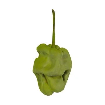 Realistic 3D rendering of a green bell pepper with textured skin Stock Photos