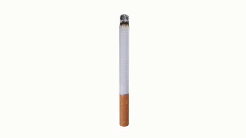 Realistic 3D rendering of a lit cigarette in a neutral background Stock-Footage 287985750