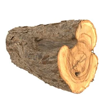 Realistic 3d rendering of a log with a natural wood texture Stock Photos