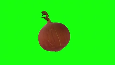 Realistic 3D rendering of an onion with green background Stock-Footage 303859746