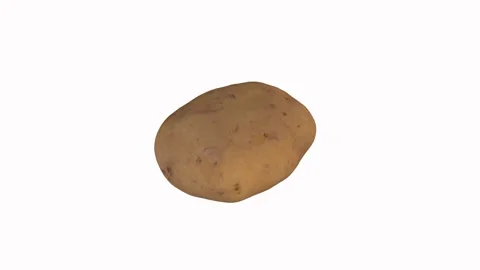 Realistic 3D rendering of a potato on a plain background Stock Footage 287986004