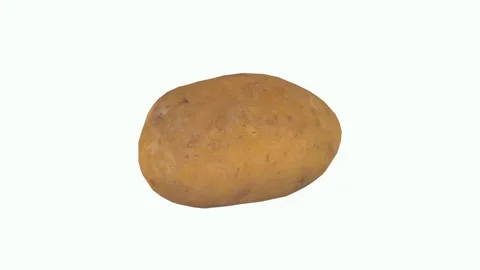 Realistic 3D rendering of a textured potato on a plain background Stock-Footage 303859855