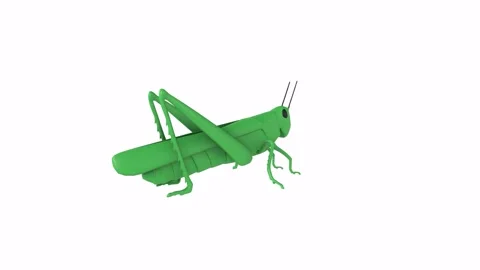 Realistic 3D rendering of a vibrant green grasshopper in nature Stockbeeldmateriaal 286148194