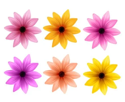 Realistic 3D Set of Colorful Daisy Flowers for Spring Season 库存插图