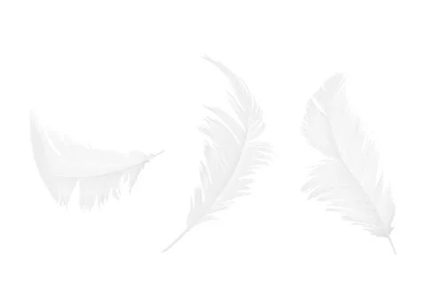 Realistic 3d set of white bird feathers Stock-Illustration