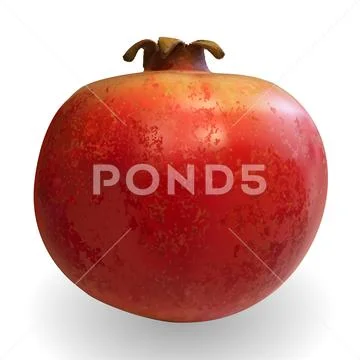 Realistic 3D Vector Illustration colorful sweet ripe pomegranate Stock Illustration