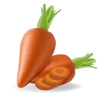 Realistic 3D vector illustration of fresh carrot. Stock Illustration