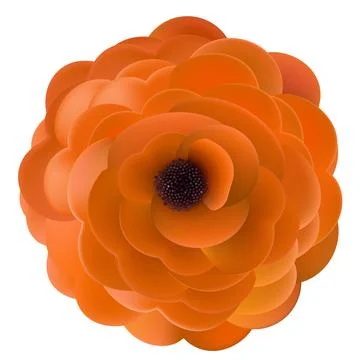 Realistic Abstract flower design element. Illustration Stock Illustration