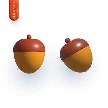Realistic acorn in different projections. Vector illustration Stock Illustration