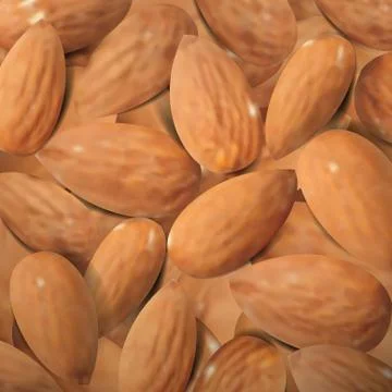 Realistic Almonds Macro Background イラスト素材