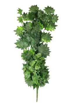 A realistic artificial maple branch adorned with vibrant green leaves Fotos Stock