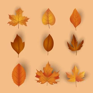 Realistic autumn celebration elements collection Stock Illustration
