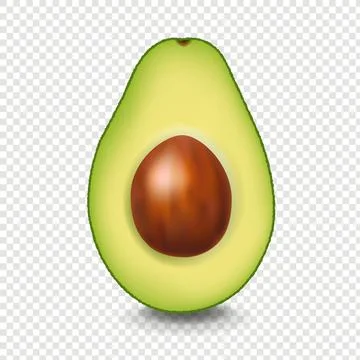Realistic Avocado With White Background Illustrazione stock