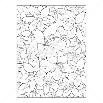 Realistic Flowers Line Drawing · Creative Fabrica