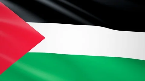 Realistic background of the Palestine flag Stock Footage 124248375