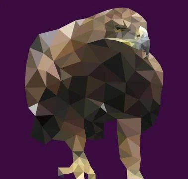 Realistic background Triangle polygonal eagle. Vector illustrati Stock Illustration