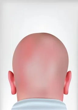 Realistic bald head Stock Illustration