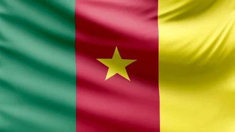 Realistic beautiful Cameroon flag looping Slow 4k resolution Stock Footage 70633685