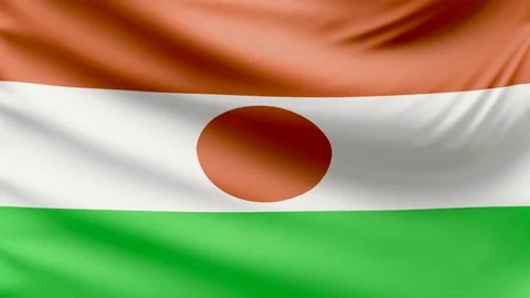 Realistic beautiful Niger flag 4k Stock Footage 70974518