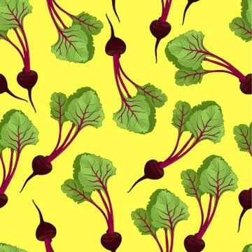 Realistic beetroot seamless pattern. Cartoon vector illustration 스톡 일러스트