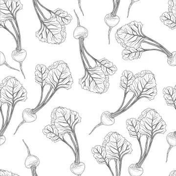 Realistic beetroot seamless pattern. Vector illustration in black and white 库存插图
