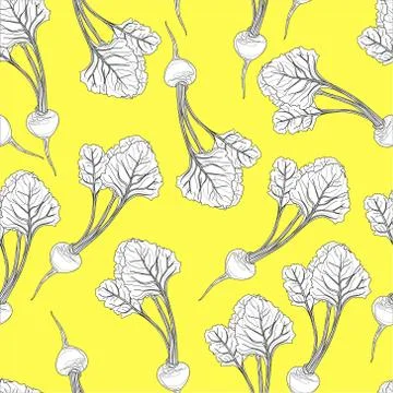 Realistic beetroot seamless pattern. Vector illustration in black and white Stock Illustration