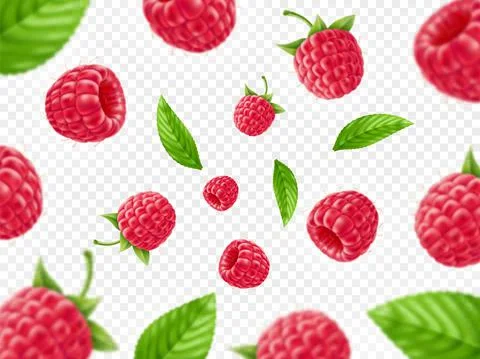 Realistic berries background. Focused and unfocused flying fresh raspberries Illustrazione stock